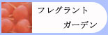 香り豊かな１０種類　フレグラントガーデン