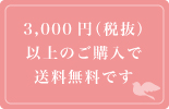 3,000円以上で送料無料